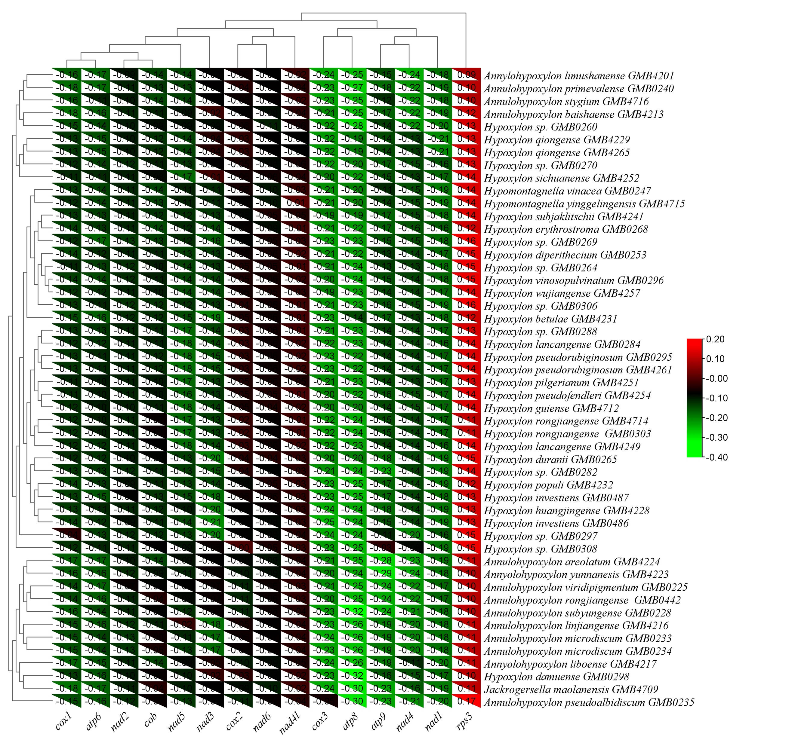 Figure 25